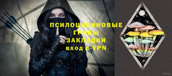 соль ск Алексеевка