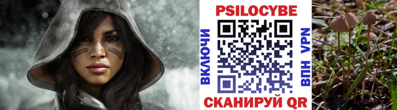 Галлюциногенные грибы Cubensis  цена   даркнет состав  Брюховецкая 